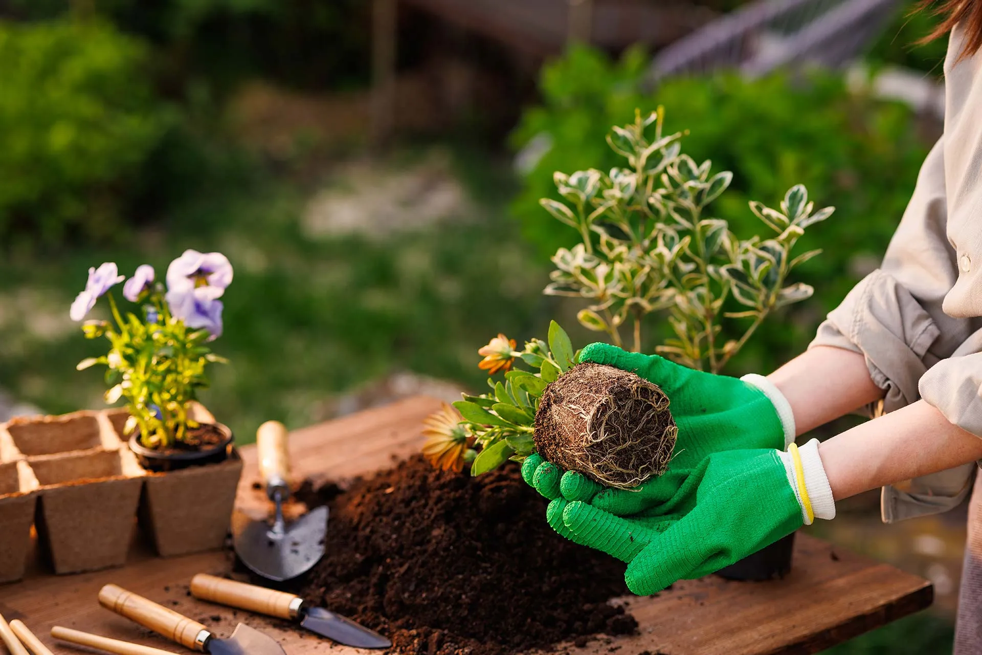 Gartenbau & Gartenplanung
