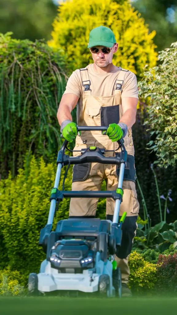 beautiful garden backyard grass mowing