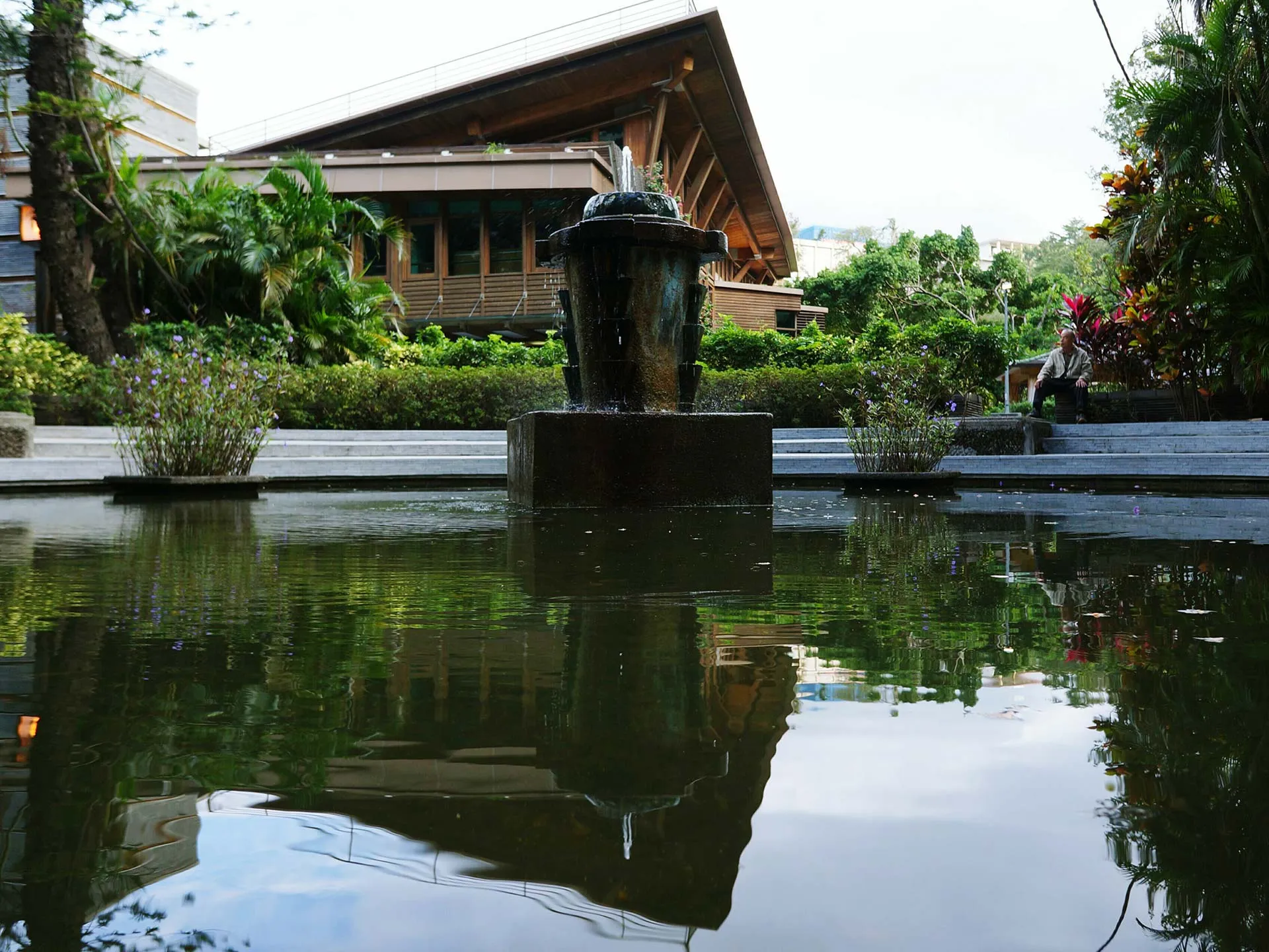 reflection-trees-water